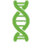 Sem ingredientes geneticamente modificados