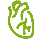 Cardiovascular