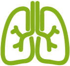 Sistema respiratório